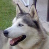 Avatar de Usuario